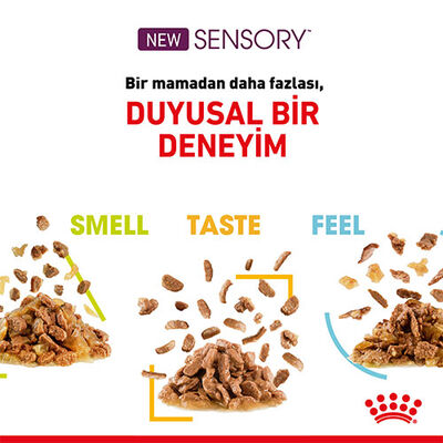 Royal Canin Sensory Taste Gravy Adult Yetişkin Kedi Konservesi 6 Adet 85 Gr 