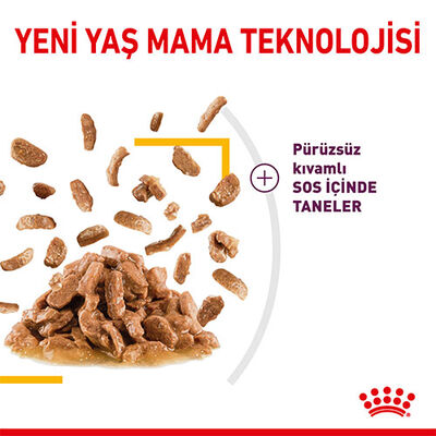 Royal Canin Sensory Taste Gravy Adult Yetişkin Kedi Konservesi 6 Adet 85 Gr 