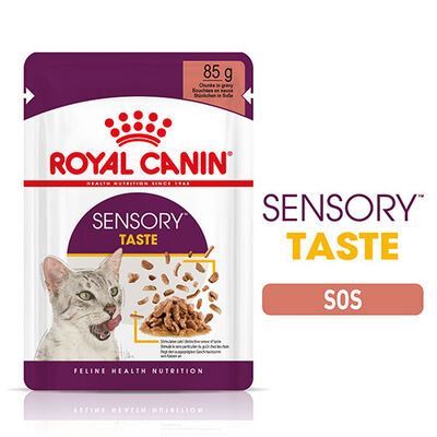 Royal Canin Sensory Taste Gravy Adult Yetişkin Kedi Konservesi 85 Gr 