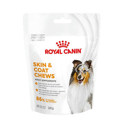 Royal Canin Skin Coat Chews Deri ve Tüy Sağlığını Destekleyen Yetişkin Köpek Ödül Maması 240 Gr 