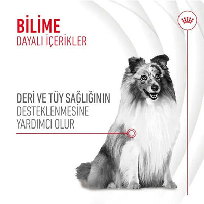 Royal Canin Skin Coat Chews Deri ve Tüy Sağlığını Destekleyen Yetişkin Köpek Ödül Maması 240 Gr 