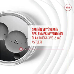Royal Canin Skin Coat Chews Deri ve Tüy Sağlığını Destekleyen Yetişkin Köpek Ödül Maması 240 Gr - Thumbnail