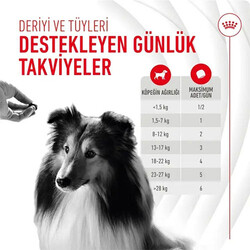 Royal Canin Skin Coat Chews Deri ve Tüy Sağlığını Destekleyen Yetişkin Köpek Ödül Maması 240 Gr - Thumbnail