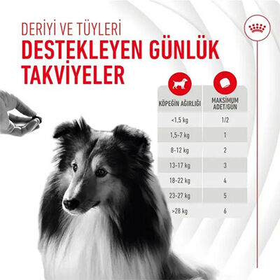 Royal Canin Skin Coat Chews Deri ve Tüy Sağlığını Destekleyen Yetişkin Köpek Ödül Maması 240 Gr 