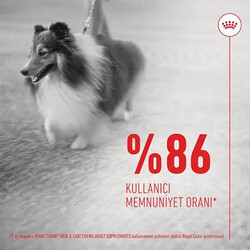 Royal Canin Skin Coat Chews Deri ve Tüy Sağlığını Destekleyen Yetişkin Köpek Ödül Maması 240 Gr - Thumbnail