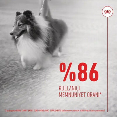 Royal Canin Skin Coat Chews Deri ve Tüy Sağlığını Destekleyen Yetişkin Köpek Ödül Maması 240 Gr 