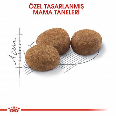 Royal Canin Sterilised Kısırlaştırılmış Kedi Maması 10 Kg 