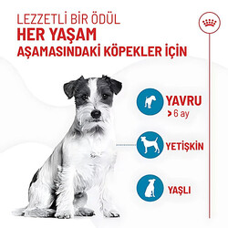 Royal Canin Training Treats Eğitim İçin Köpek Ödül Maması 110 Gr - Thumbnail