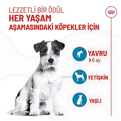 Royal Canin Training Treats Eğitim İçin Köpek Ödül Maması 110 Gr 