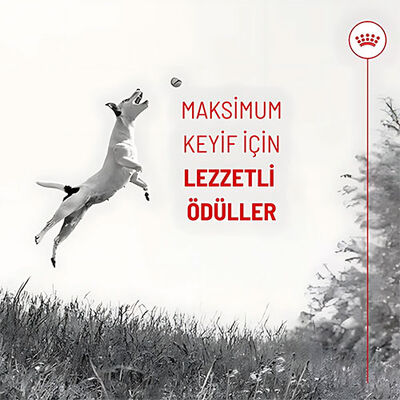 Royal Canin Training Treats Eğitim İçin Köpek Ödül Maması 110 Gr 
