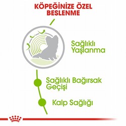 Royal Canin X Small Ageing 12+ Küçük Irk Yaşlı Köpek Maması 1,5 Kg - Thumbnail