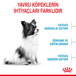 Royal Canin X Small Puppy Küçük Irk Yavru Köpek Maması 500 Gr - Thumbnail