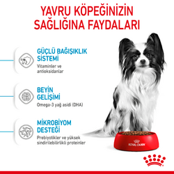 Royal Canin X Small Puppy Küçük Irk Yavru Köpek Maması 500 Gr - Thumbnail