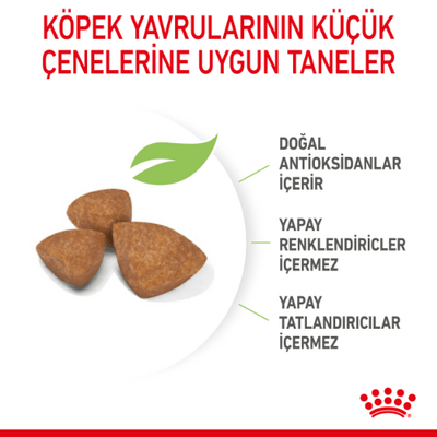 Royal Canin X Small Puppy Küçük Irk Yavru Köpek Maması 500 Gr 