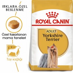Royal Canin Yorkshire Terrier Adult Yetişkin Köpek Maması 1,5 Kg+2 Adet Pouch - Thumbnail