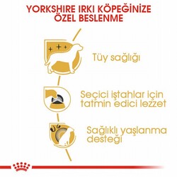 Royal Canin Yorkshire Terrier Adult Yetişkin Köpek Maması 1,5 Kg+2 Adet Pouch - Thumbnail