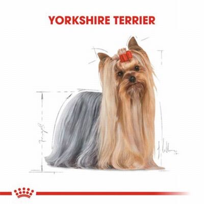 Royal Canin Yorkshire Terrier Adult Yetişkin Köpek Maması 1,5 Kg+2 Adet Pouch 