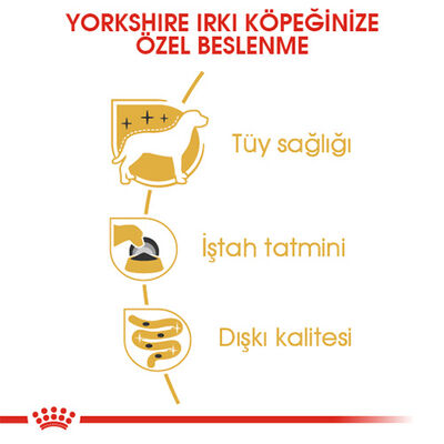 Royal Canin Yorkshire Terrier Adult Yetişkin Köpek Konservesi 12 Adet 85 Gr 