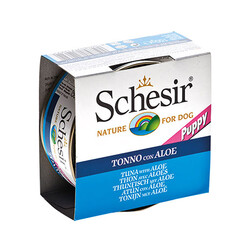 Schesir - Schesir Jöle İçinde Tavuklu ve Aloe Veralı Yavru Köpek Konservesi 6 Adet 150 Gr 