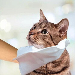 Simple Solution Kedi ve Köpek Islak Temizleme Eldiveni - Thumbnail