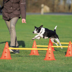 Trixie - Trixie Agility Köpek Eğitim Oyuncağı 3'lü 23x30x78 Cm