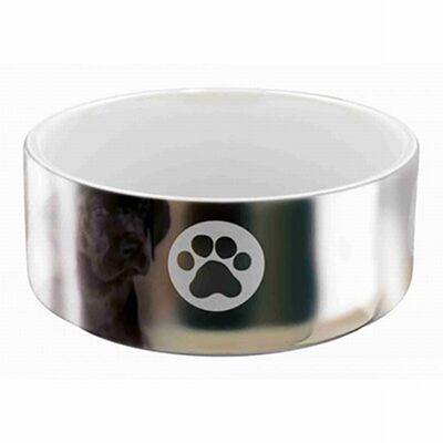 Trixie Gümüş Rengi Köpek Seramik Mama Su Kabı 0,3 Lt 12 Cm 