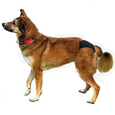 Trixie Hijyenik Köpek Külodu Siyah 32-39 Cm S-M