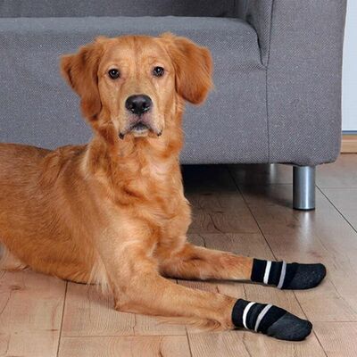 Trixie Kaymaz Tabanlı Köpek Çorabı 2 Adet L-XL 