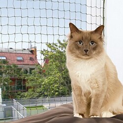 Trixie - Trixie Kedi Cam Koruma Ağı 4x3 Mt Yeşil 