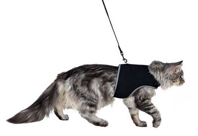 Trixie Kedi Göğüs Tasma Seti Xl 36-54 Cm 120 Cm