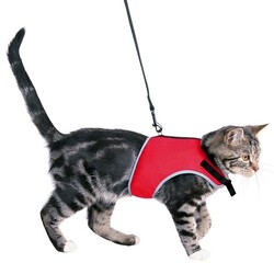 Trixie Kedi Göğüs Tasma Seti Xl 36-54 Cm 120 Cm - Thumbnail