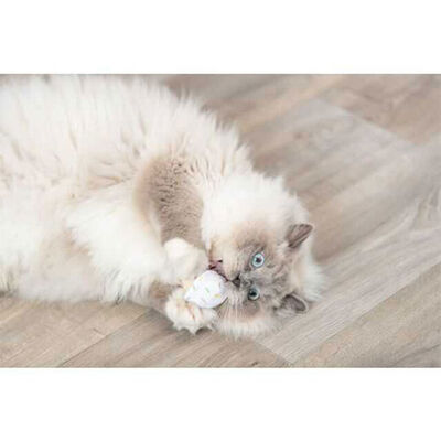 Trixie Kedi Otlu Dondurma Peluş Kedi Oyuncağı 7 Cm 