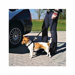 Trixie Köpek Emniyet Kemeri Large 70-90 Cm - Thumbnail