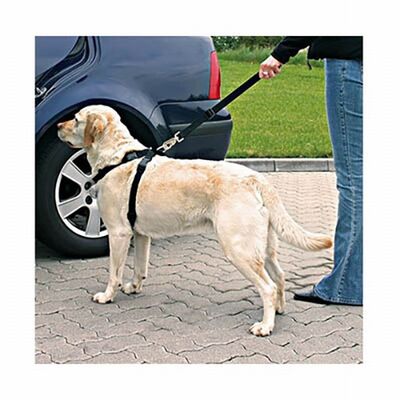Trixie Köpek Emniyet Kemeri Large 70-90 Cm 