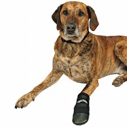 Trixie - Trixie Neopren Köpek Patiği 2 Adet Siyah XXL 