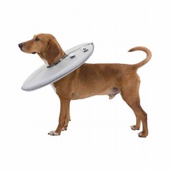 Trixie Köpek ve Kedi Yakalığı XS 23-27 Cm 13 Cm Gri - Thumbnail