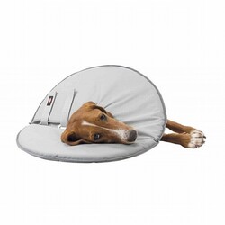 Trixie Köpek ve Kedi Yakalığı XS 23-27 Cm 13 Cm Gri - Thumbnail