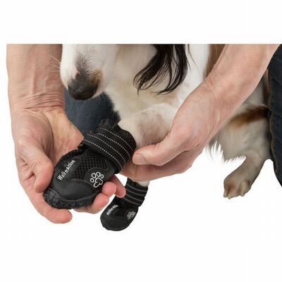 Trixie Köpek Yürüyüş Botu 2 Adet L-XL Siyah 