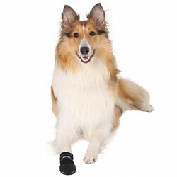 Trixie Neopren Köpek Patiği 2 Adet Siyah Medium - Thumbnail