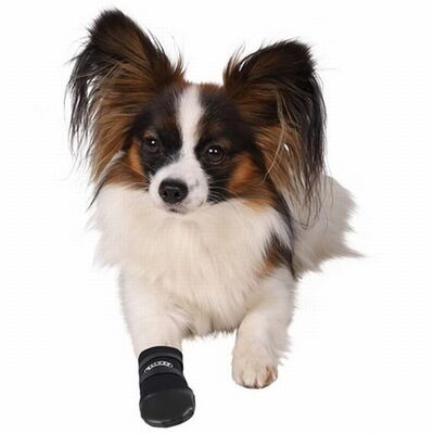 Trixie Neopren Köpek Patiği 2 Adet Siyah Medium 