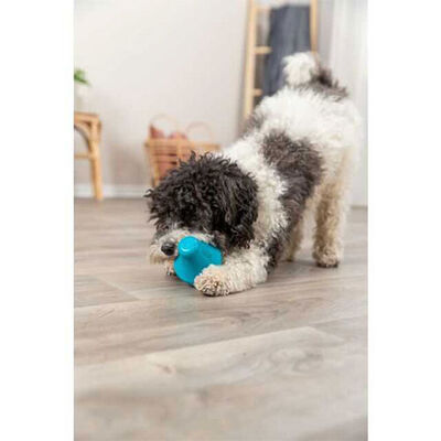 Trixie Ödül Hazneli Naturel Kauçuk Köpek Oyuncağı 12 Cm 