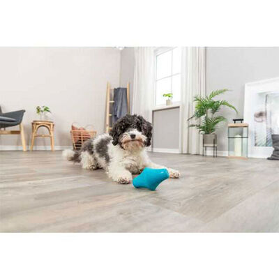 Trixie Ödül Hazneli Naturel Kauçuk Köpek Oyuncağı 12 Cm 