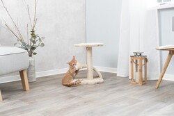 Trixie Yavru Kedi Tırmalama ve Oyun Tahtası 43 Cm - Thumbnail