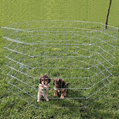 Trixie Yavru ve Küçük Köpek Açık Hava Oyun Alanı 8 Parça 61x91 Cm