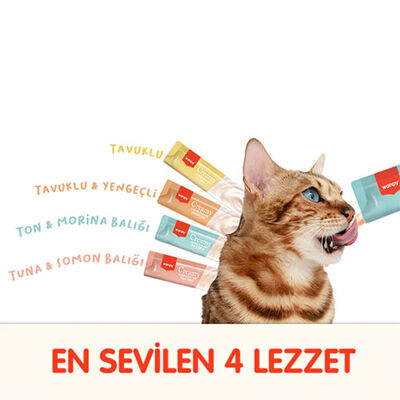 Wanpy Karışık 4 Lezzetli Krema Kedi Ödülü 100x14 Gr 