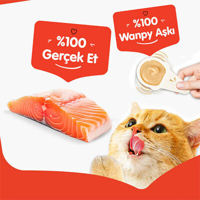 Wanpy Somonlu Kaşık Krema Kedi Ödül Maması 10x16 Gr 