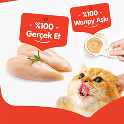 Wanpy Tavuklu Kaşık Krema Kedi Ödül Maması 10x16 Gr - Thumbnail