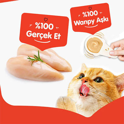 Wanpy Tavuklu Kaşık Krema Kedi Ödül Maması 10x16 Gr 