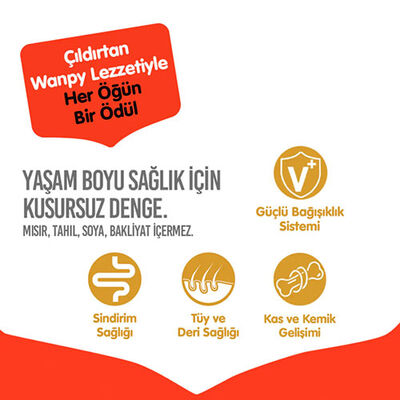 Wanpy With Oven Baked Bites Ördekli Tahılsız Yetişkin Köpek Maması 12 Kg 