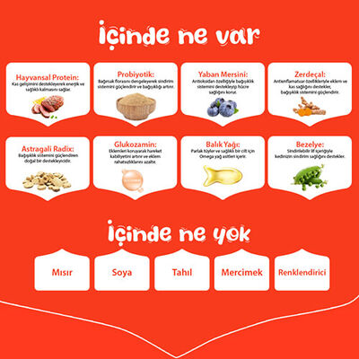 Wanpy With Oven Baked Bites Ördekli Tahılsız Yetişkin Köpek Maması 12 Kg 